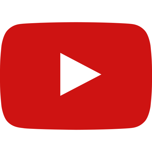 Přehrát video